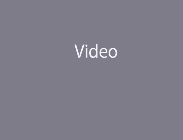 Video Image